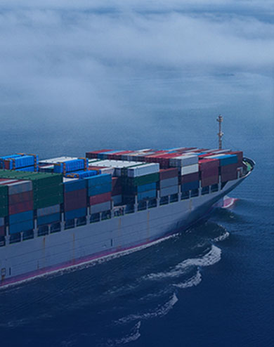 12��רҵ�����亣�˷����Ŷ�