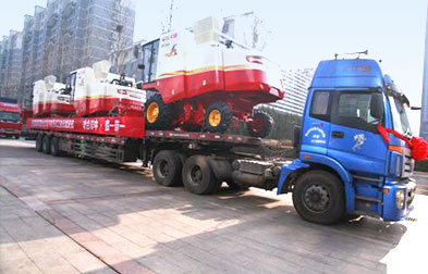 ���̳�����������