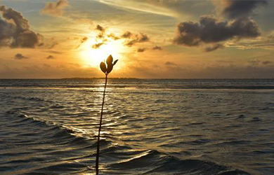 ��������ʱ���½ṹ�ӹ���?