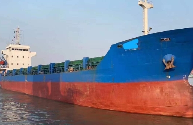 ��ܹ������𽥳�Ϊ���ڻ��������������ѡ����