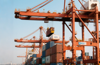 ȫ��ó�������棺���ʼ�װ���������ͻ����Χ